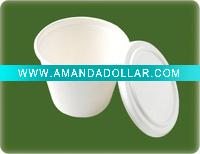 biodegradable food container