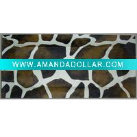 Plastic charger plate