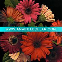 Wholesale colourful best price canvas prints drawing