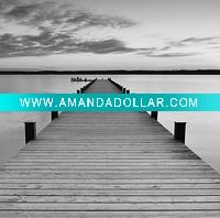 Wholesale colourful best price canvas prints drawing