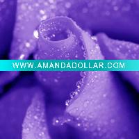 Wholesale colourful best price canvas prints drawing