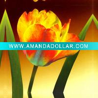 Wholesale colourful best price canvas prints drawing