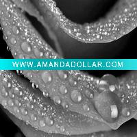 Wholesale colourful best price canvas prints drawing