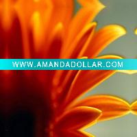 high quality decorative canvas prints