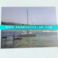 Wholesale OEM&ODM Printing Poster