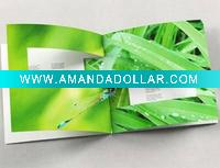 Printing Leaflet&Poster