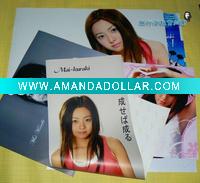 Wholesale New Fashion Poster Printing (GLPO0171)