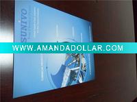 Poster and Folio Flyer printing