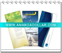 Wholesale brochure printing