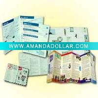 brochure catalogue & poster printing service