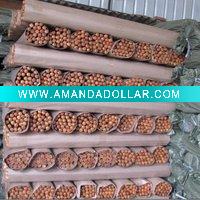 Natural wooden handle with varnish