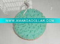 Sponge Brush
