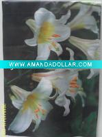 Garden Decoration Flag