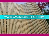 bamboo fence natural