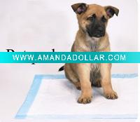 Wholesale 60*45cm pet pad,dog pet,cat pad,puppy pad,pooch pad