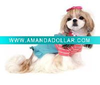 fashionable pet dress