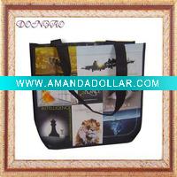 Wholesale pp non-woven lunch bag
