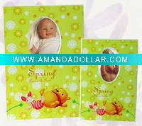 Wholesale Mini pig album