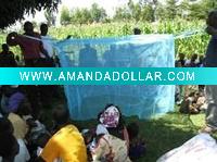 Insecticide Treated Mosquito NetLLIN)