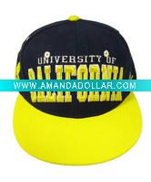 Two Tone 3D Embroidery Snapbacks