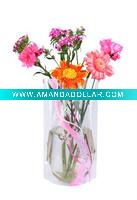 Plastic vase