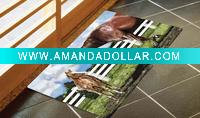 Wholesale Rug/door mat(2DM0164)