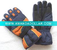 ski gloves