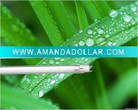 Wholesale T5 CL 22W Fluorescent light