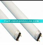 T8 FLUORESCENT TUBE