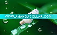 Wholesale compact fluorescent lamp/light bulbs/lighting/