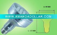 Compact Fluorescent Bulb