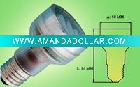 Compact Fluorescent Bulb