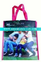 Wholesale 2011 PP Non Woven Bag For Promotion