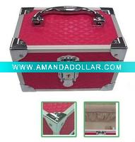 New Cosmetic Case