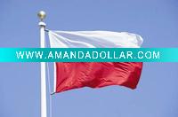 Polyester Polish banner