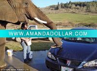 Super Absorbent Synthetic Chamois /Car Shammy