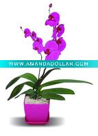 Wholesale Small square flower pot