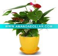 Round flower pot