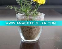 Wholesale glass jar,glass bottle,glassware.flower pot,garden pot