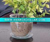 Wholesale glass jar,glass bottle,glassware.flower pot,garden pot