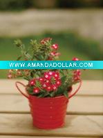 Wholesale Mini plant, metal pots, flower pots