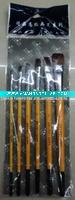 Artist Brush Set