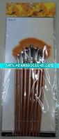 Artist Brush Set