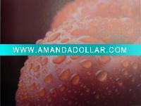 Wholesale removable self adhesive vinyl