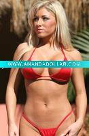 Wholesale sexy adult costume adult carnival sexy costume LC4113
