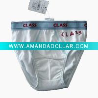 Wholesale Children's Briefs,kid's organic cotton pants,undergarment,children underwear
