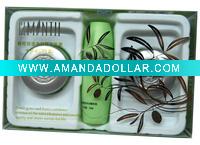Wholesale Fashionable Skin Care Set