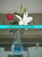 Wholesale LC Fashion reusable Plastic bottles