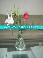 LC Transparent reusable plastic vase