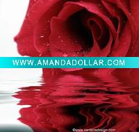 ROSE Water